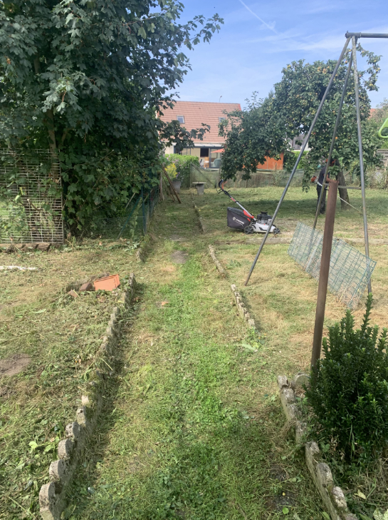 nettoyage-du-mur-de-vegetation