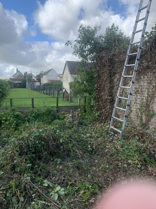 nettoyage-du-mur-de-vegetation